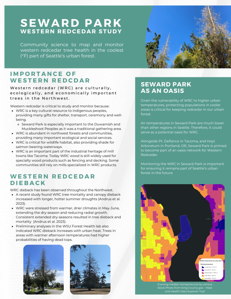 Seward Park Western Redcedar Study pamphlet