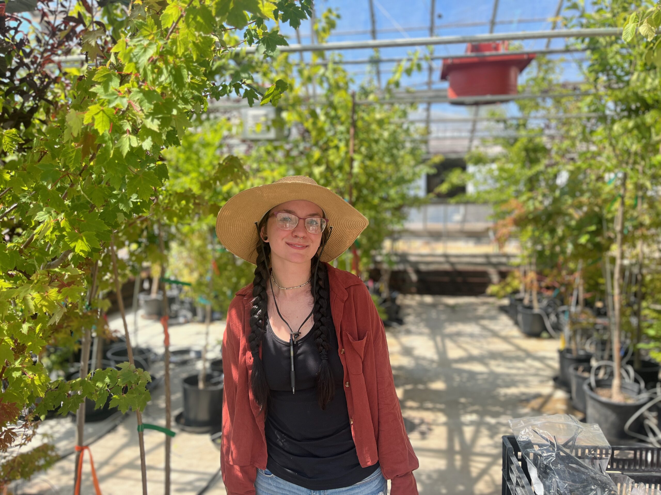 Taylor McNees, Bio Picture