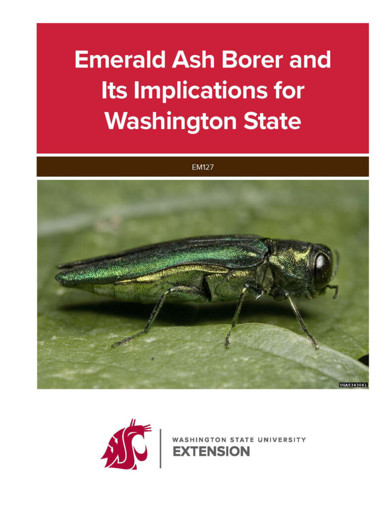 WSU - Emerald Ash Borer and Its Implications for Washington State