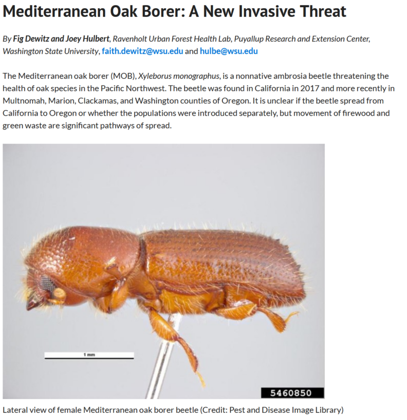 DNR MOB article website image 