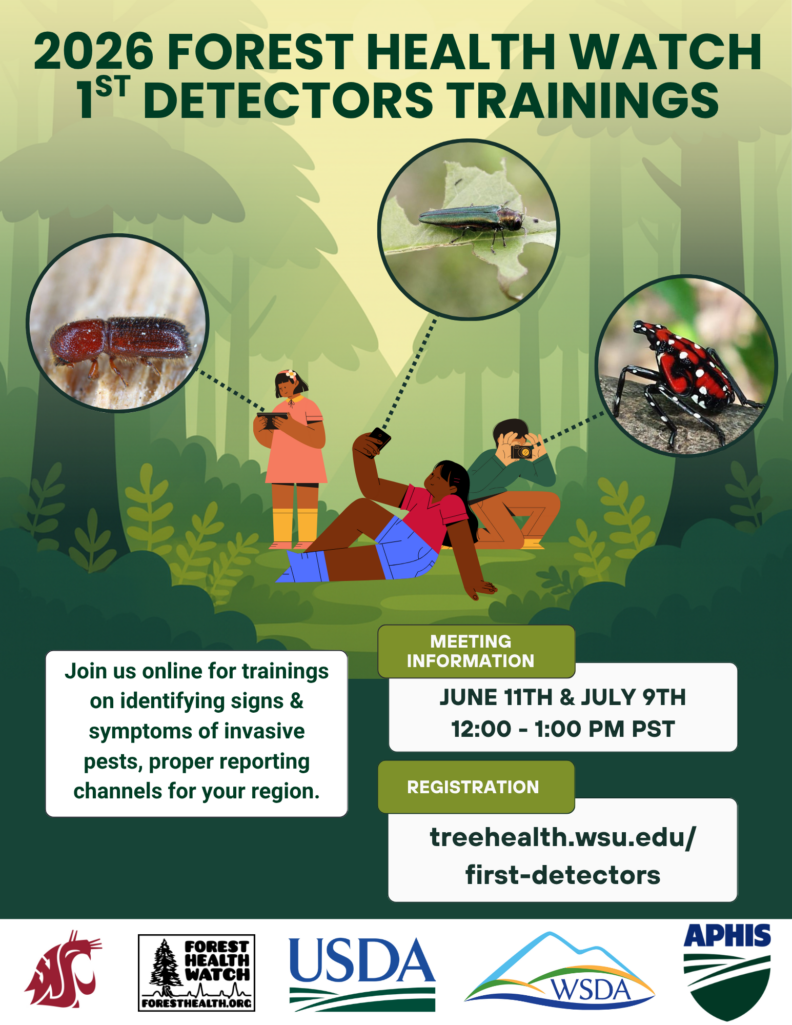 1st Detectors Training June 11th and July 9th, 12pm-1pm