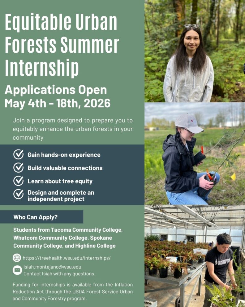 Internship Flyer