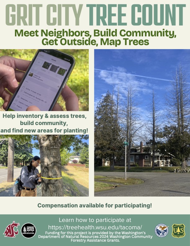 Grit City Tree Count Flyer