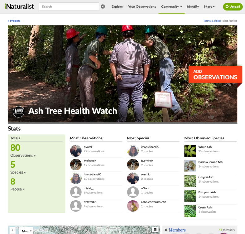 Ash Tree Health Watch iNaturalist Project