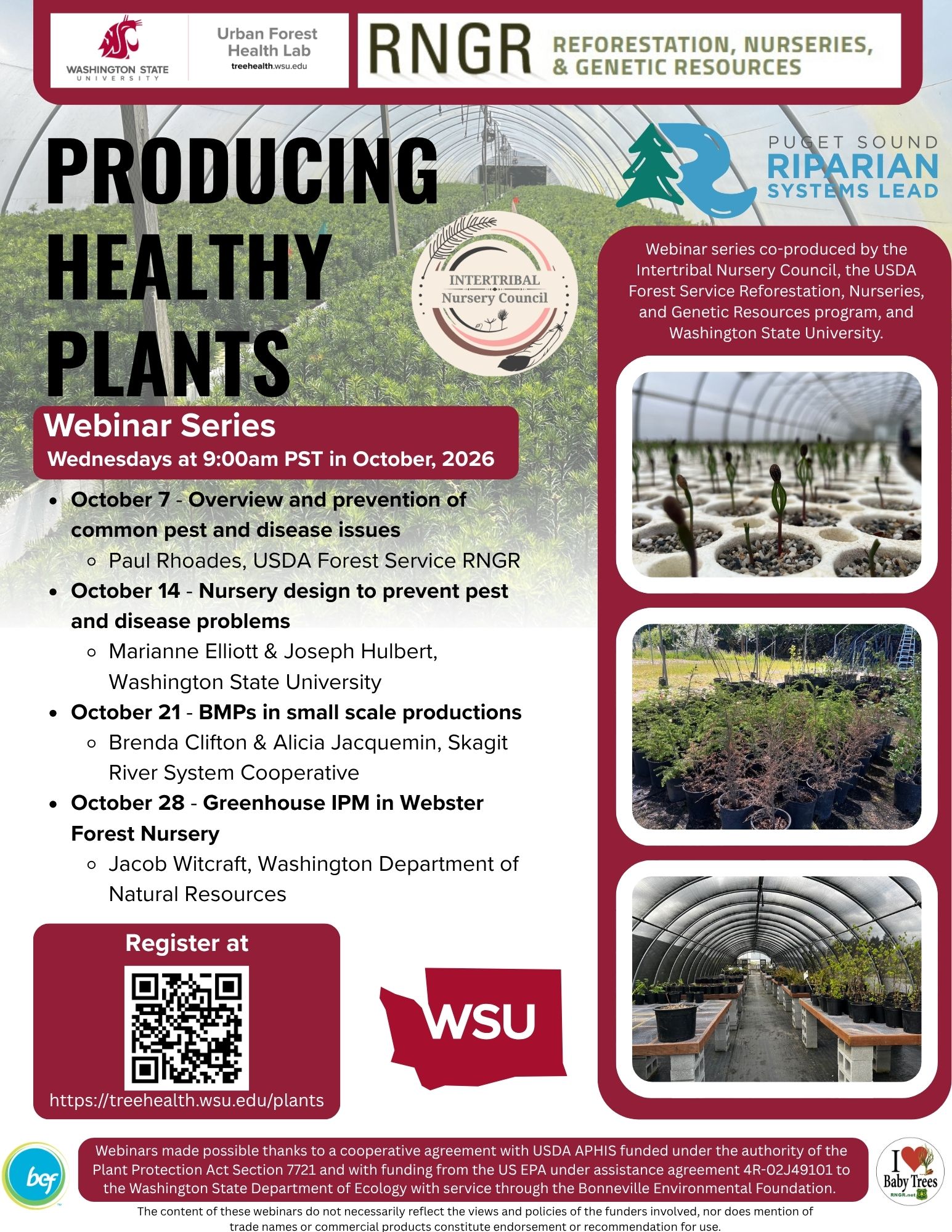 Webinar flyer