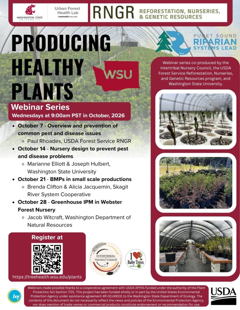 Webinar Series Flyer
