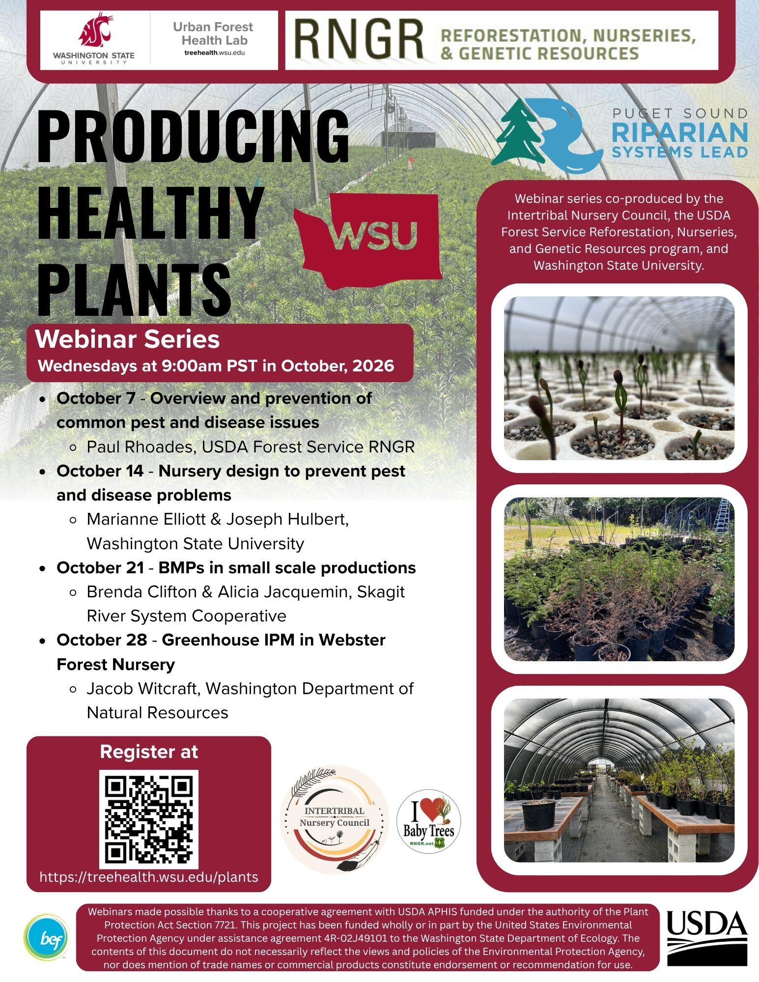 Webinar Series Flyer