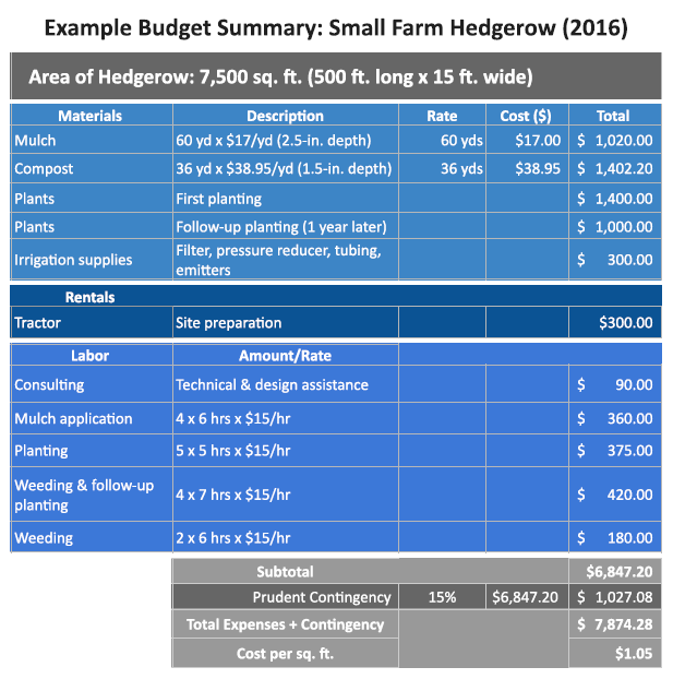 Example budget 