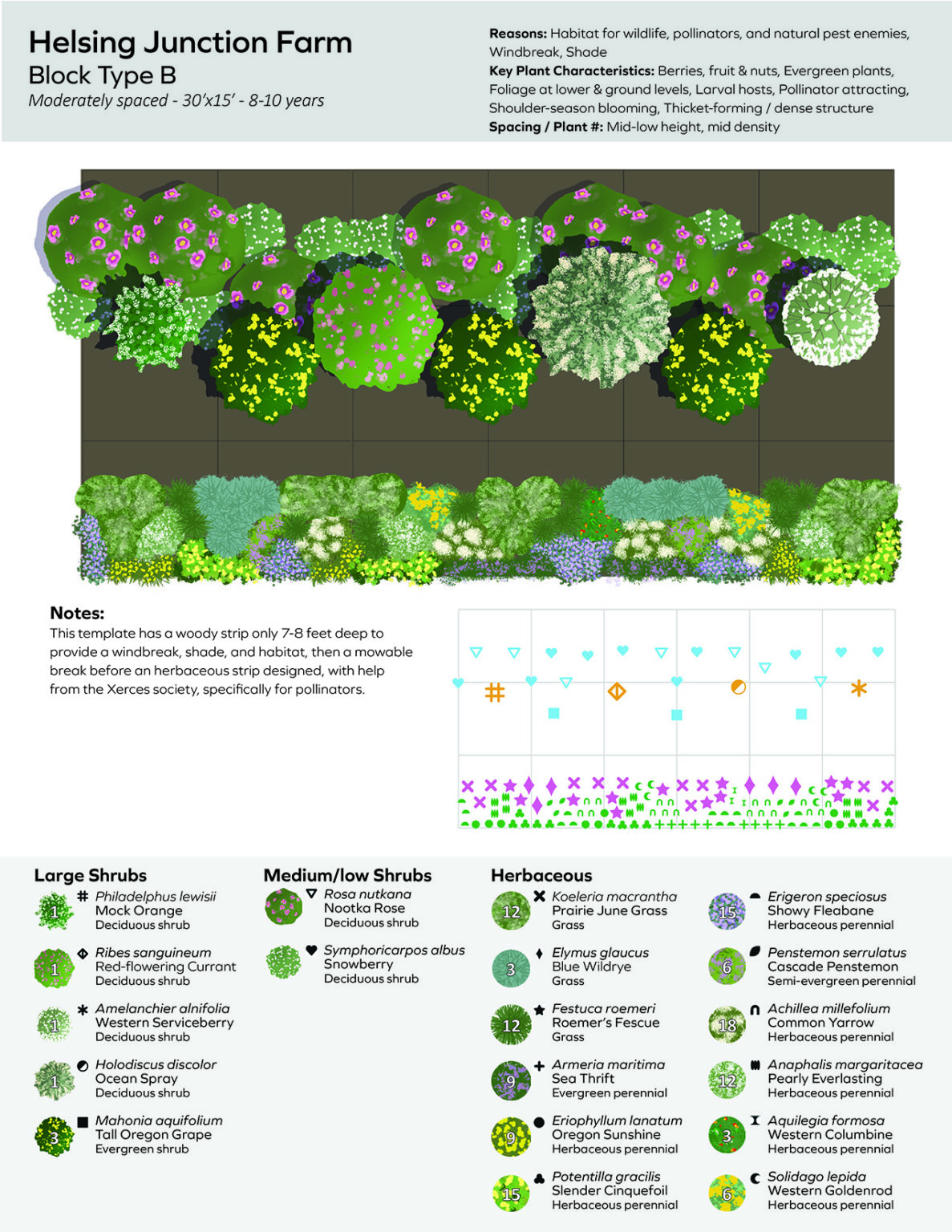 Hedgerow Planting Example Hedgerows Planting Templates | Hedgerows | Washington State University