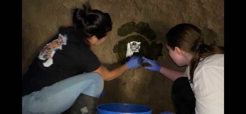 volunteer helping place a trail camera is a bear den