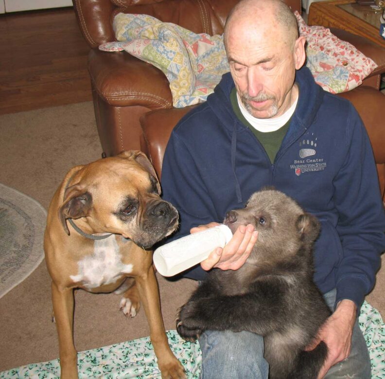 Dr. Charles feeding cub. 
