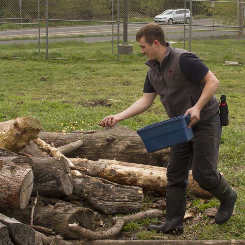 Brandon Evans Hutzenbiler.