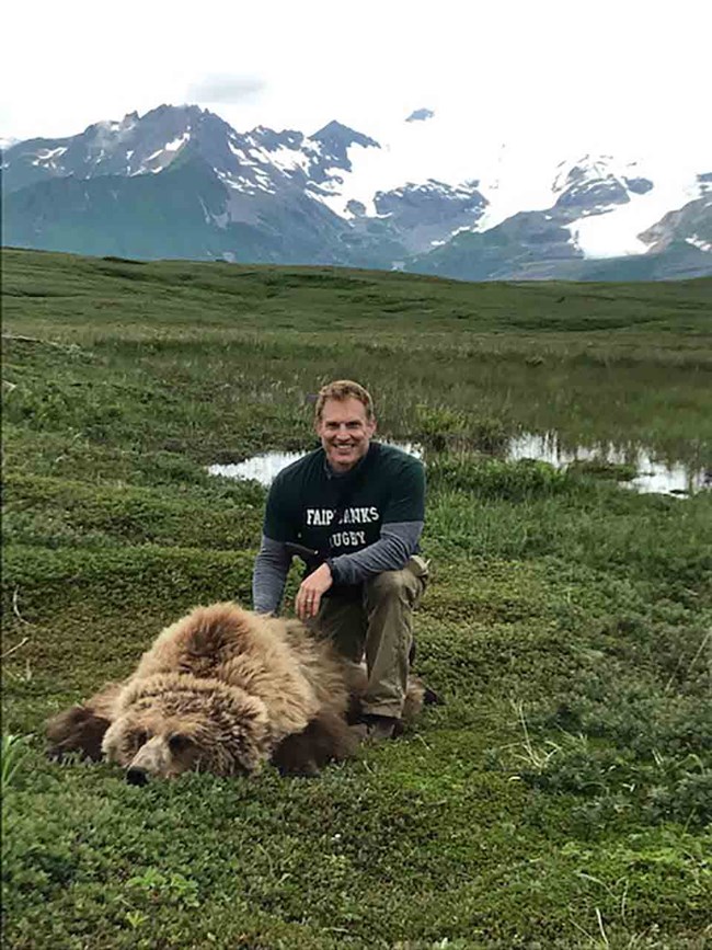 Grant Hildebrand kneeling next to drugged grizzly bear. 