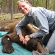 Jennifer Fortin-Noreus, PhD with drugged bear