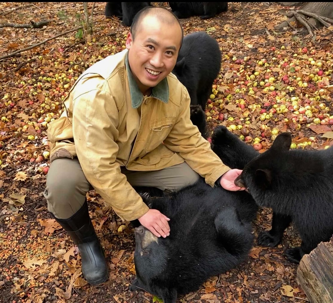 Graduate student Fanqi Wu with black bear cubs