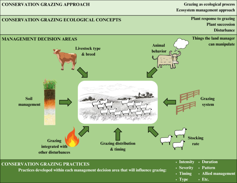 Figure depicting the different management tools available to farmers and conservation land managers for conservation grazing. These tools include guiding animal behavior, grazing systems, stocking rate, timing of grazing, integration of grazing with other disturbance such as fire, soil management, and livestock type and breed selection.