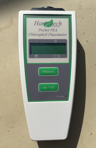 Photo of a Pocket PEA Chlorophyll Fluorimeter