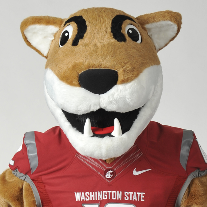 Image of the mascot uniform for Butch.