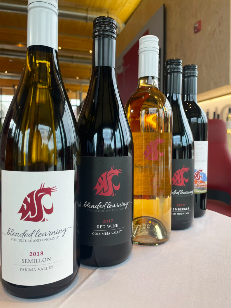 An image of five Washington State University Blended Learning student-made wines sitting on a table.