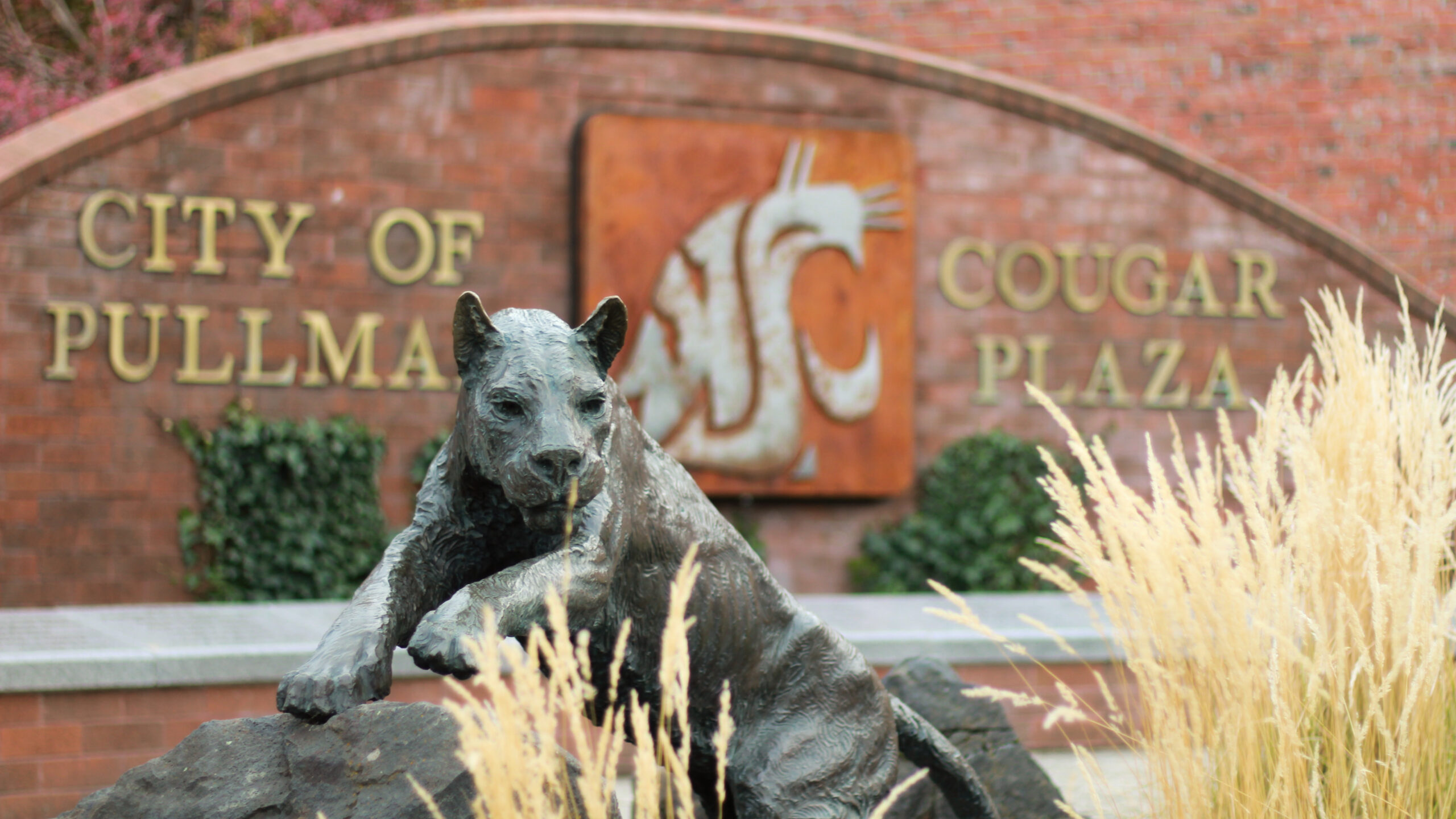 View of downtown Pullman's Cougar Plaza.