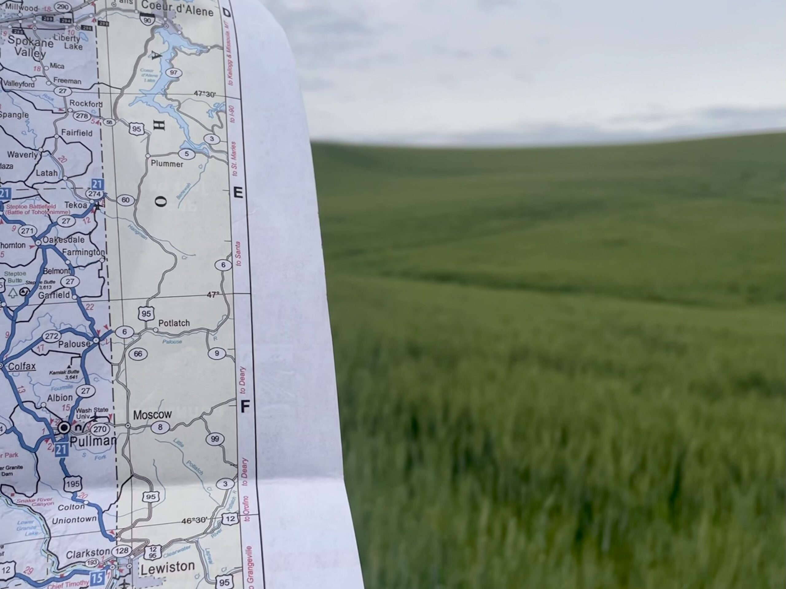 An image of a Palouse Scenic Byway map in the foreground of a green wheat field in Whitman County, Washington.