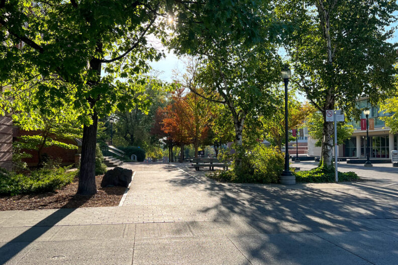 An image of Terrell Mall lined with trees on the Washington State University Pullman campus.