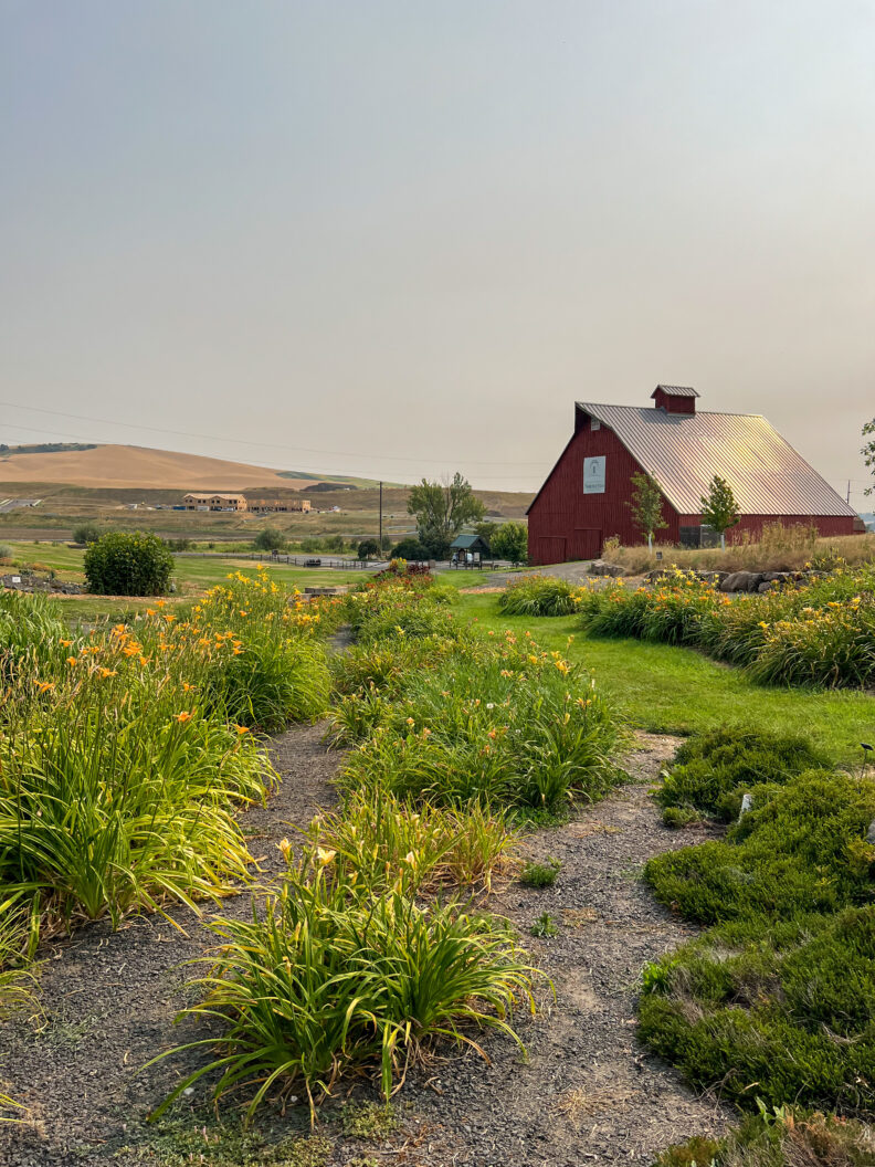 An image of a red barn in the background of curated plants and flowers at the University of Idaho Arboretum and Botanical Garden in Moscow, Idaho.