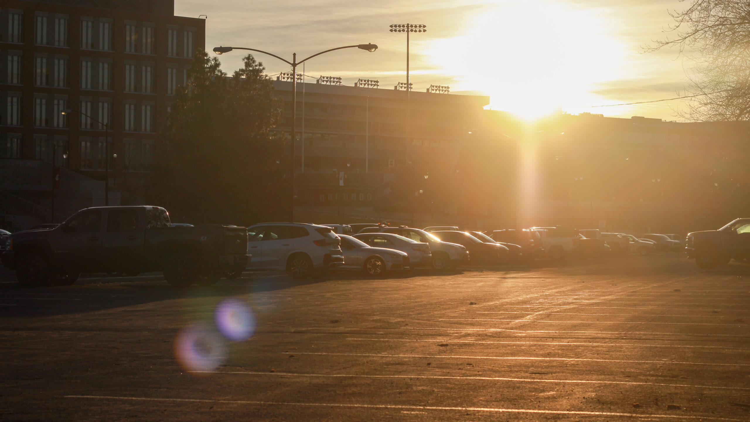 An image of parked personal vehicles in a parking lot at Washington State University Pullman.