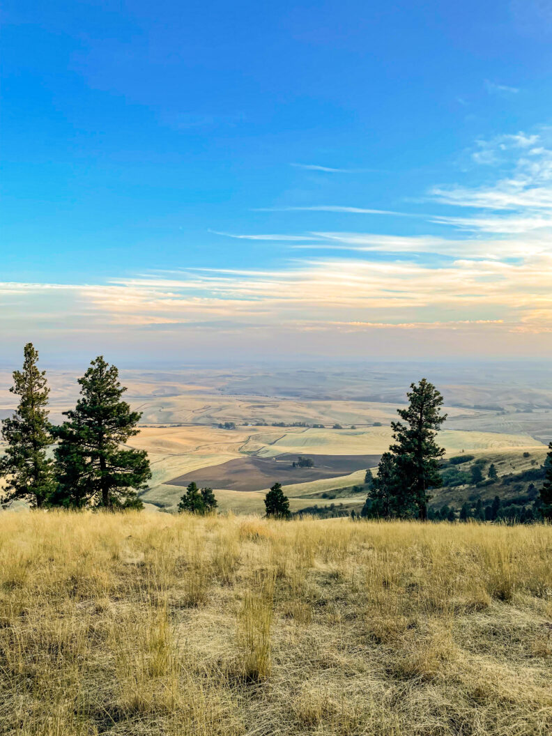 An image of the view of the greater Palouse region from the top of Kamiak Butte, which is located in Whitman County, Washington. 