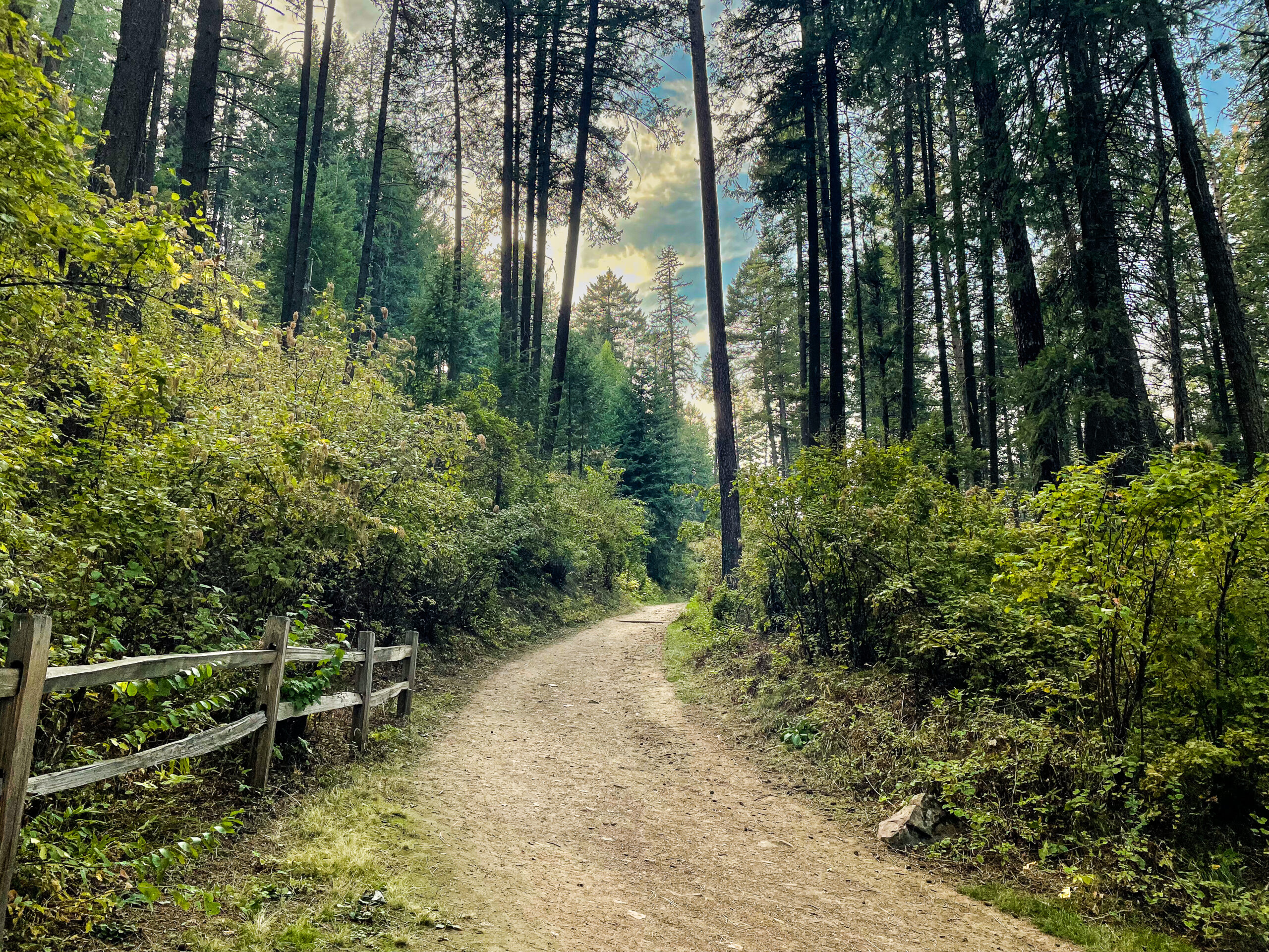 An image of the dirt road leading up to the trail entrance at Kamiak Butte County Park in Whitman County, Washington.