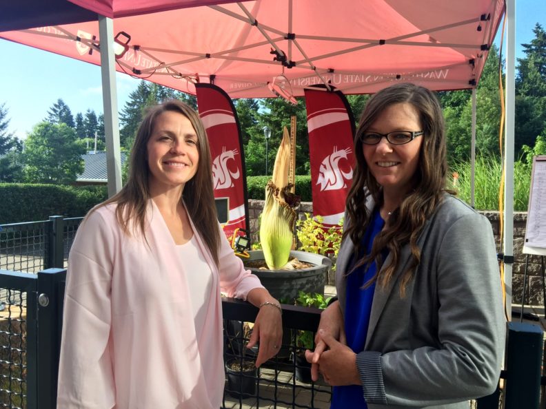 Two smiling women stand under a red awning on a bright sunny day. The woman on the left is wearing a light pink sweater, and the woman on the right wears a grey blazer with rolled up sleeves. Behind them stands a large green plant with crinkled edges to its leaves.