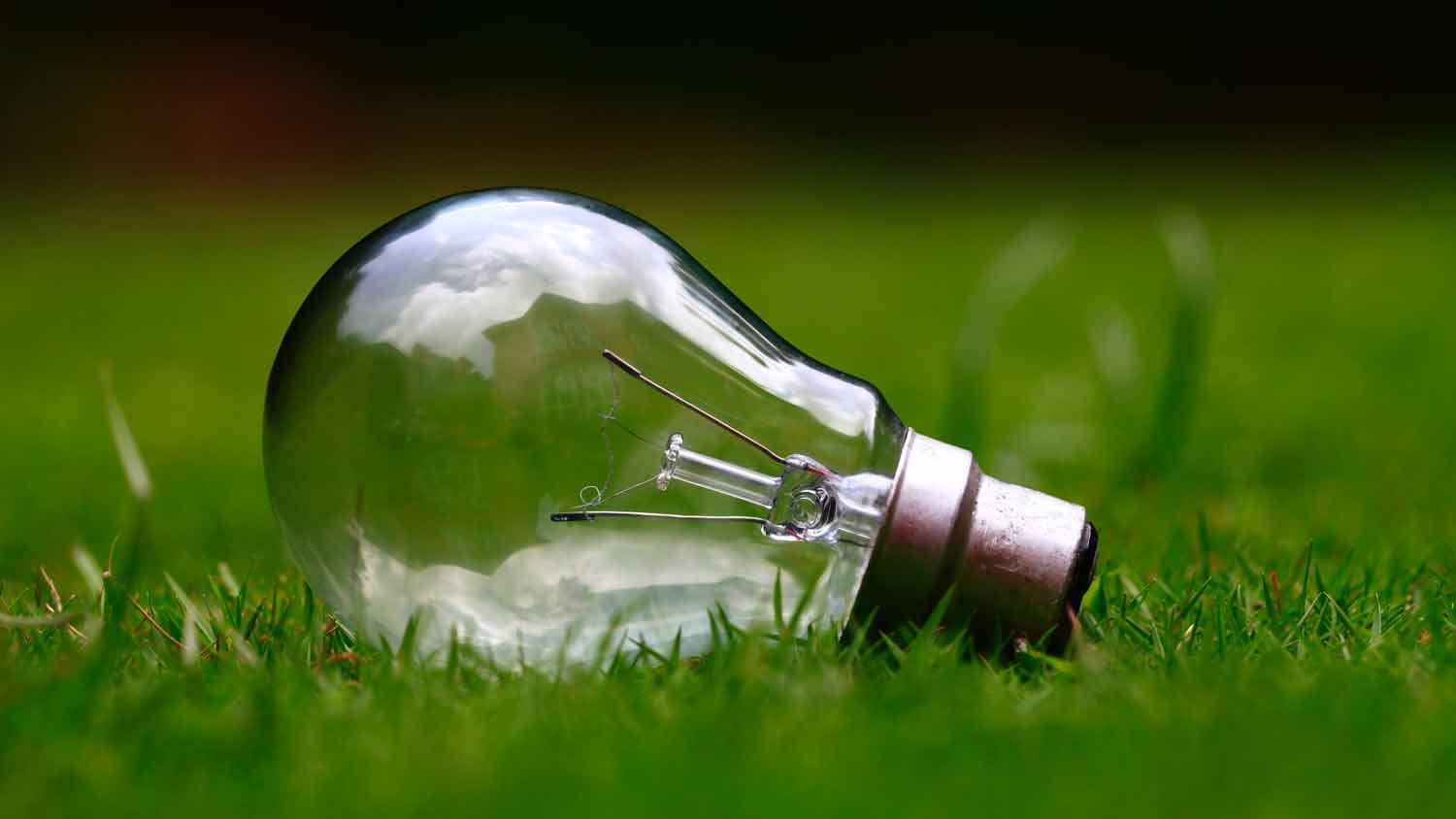 Light Bulb Recycling | Environmental Health \u0026 Safety | Washington State  University, image size:1500x844