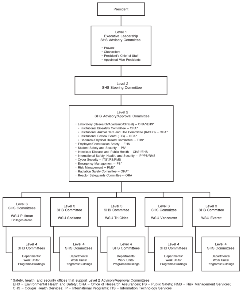 Safety, health, and security committees organization chart