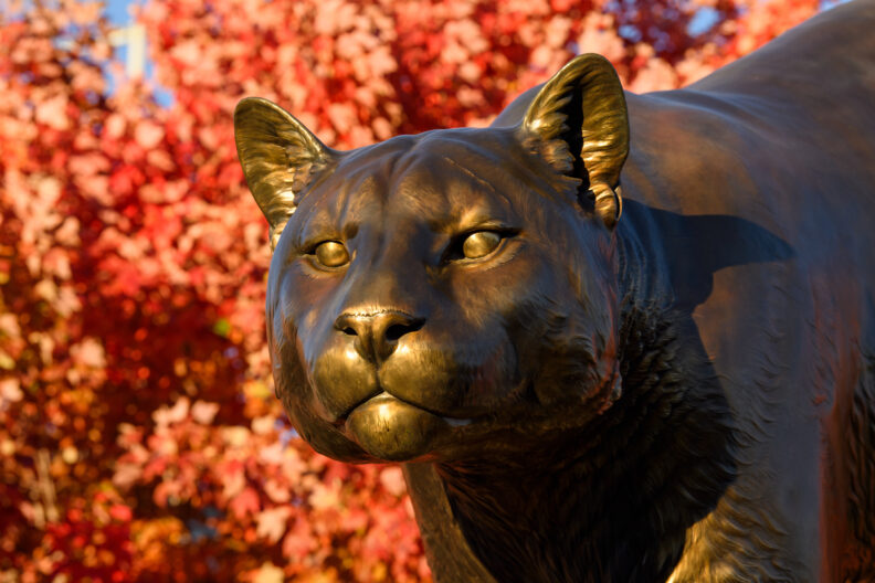 Image of cougar statue among autumn foliage. Image link leads to Board of Regents Policy Manual page