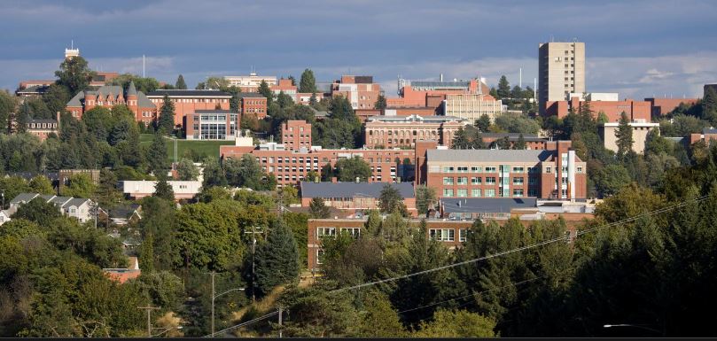 wsu skyline