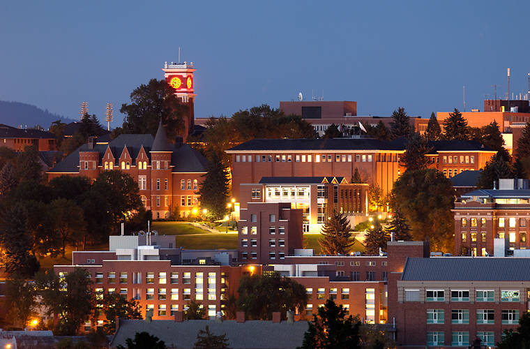 Image of WSU campus skyline at sunset