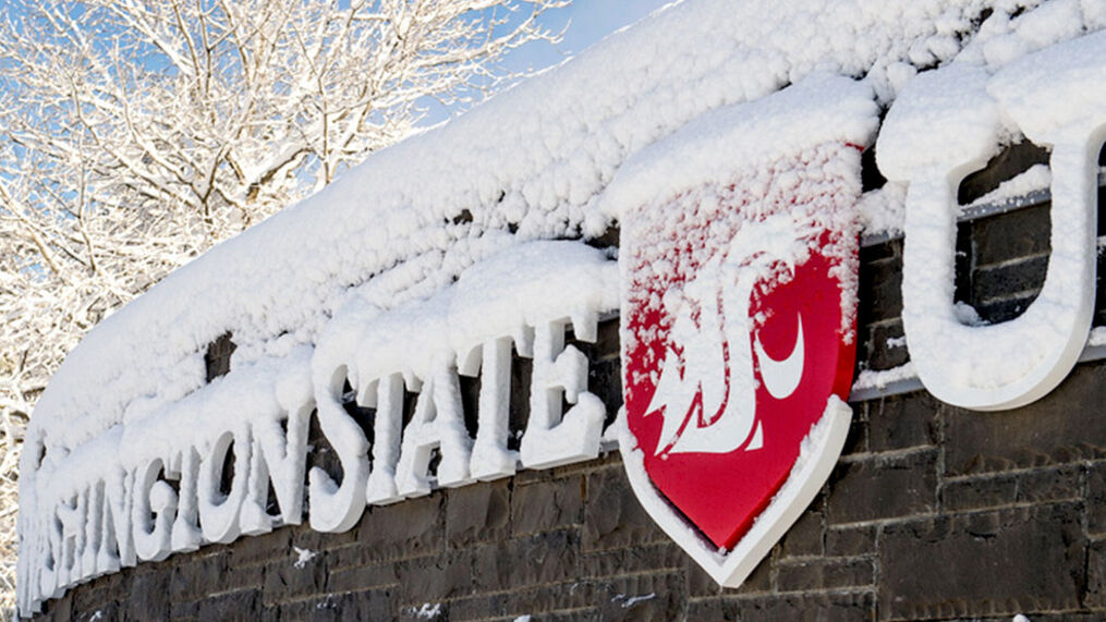WSU welcome center sign in the snow
