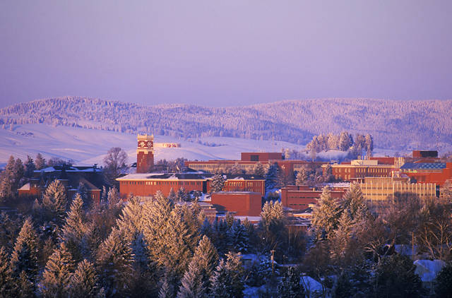 WSU campus in winter