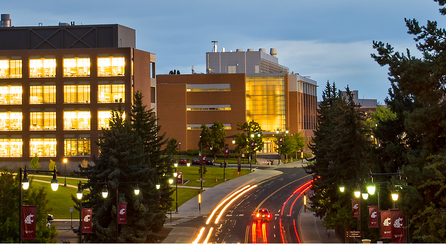 stadium way at night