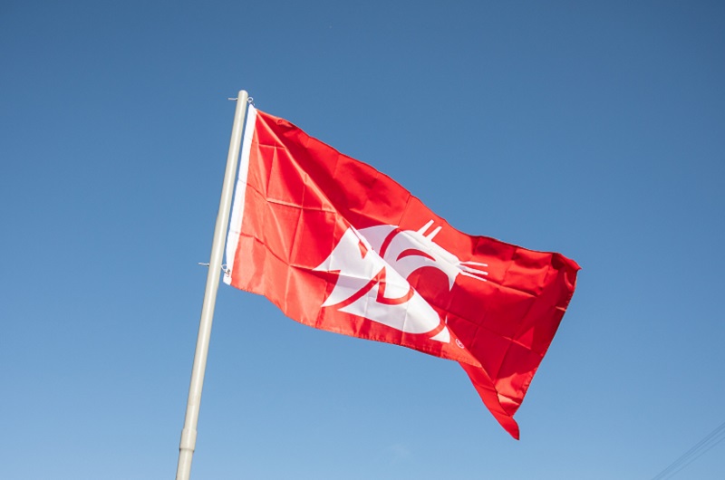 WSU flag against a blue summer sky.