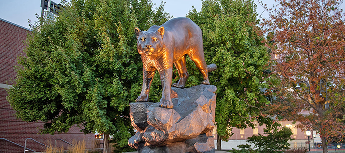 WSU Cougar Pride statue illuminated by evening light.