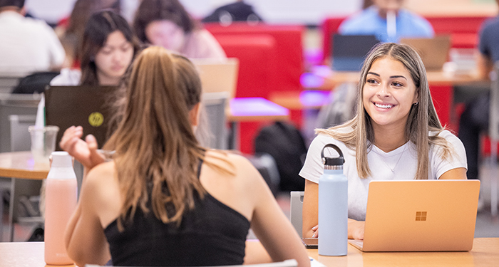 WSU students working on laptops at a desk.