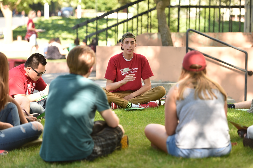 A group of WSU students sit and talk in a circle on the lawn.