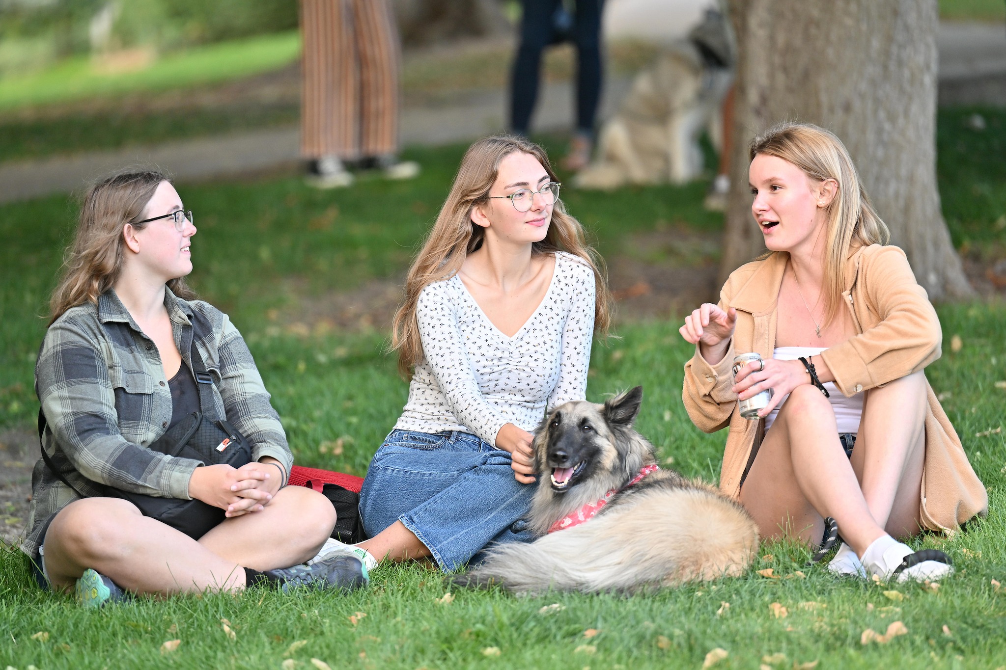 Three students relax on the campus lawn with a german shepard