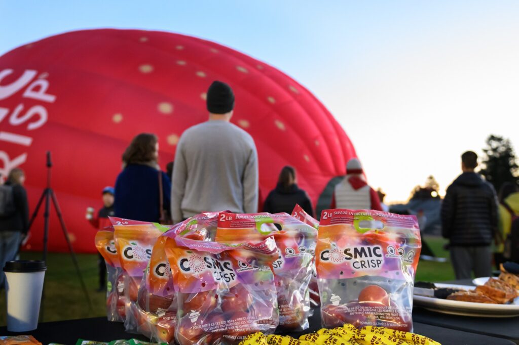 Students participate in the apple crisp celebration event at WSU Pullman