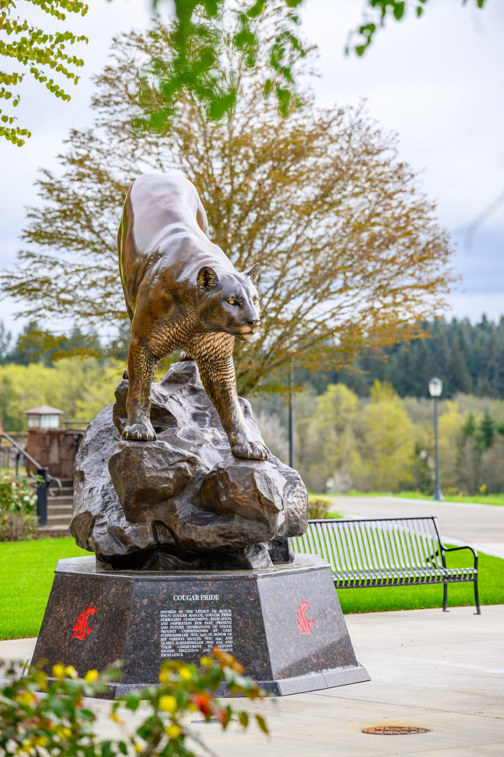 The cougar pride statue on the WSU Vancouver campus during spring.
