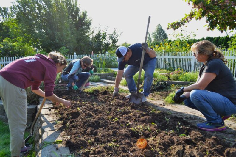 People working in a garden