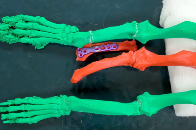 A 3D printer donated by an alumnus to the Orthopedic Department at the Veterinary Teaching Hospital at WSU's College of Veterinary Medicine is helping small-animal surgeons give more precise care to patients requiring orthopedic and other surgical procedures.