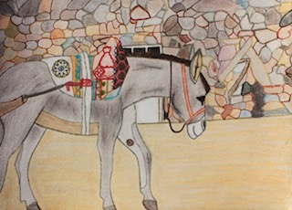 A donkey wearing a saddle
