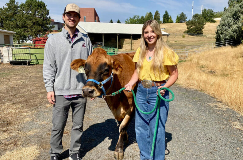 Veterinary students Chance Marsh (left) and Bailey Bailey (right) pose for a photo with Ginger, a cow owned by the WSU College of Veterinary Medicine, on the Pullman campus.